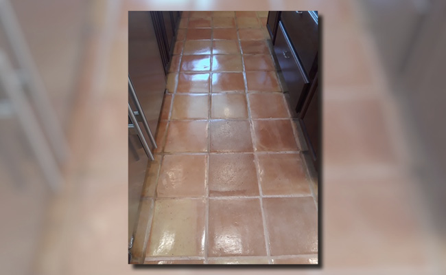 Deep Cleaned Saltillo
